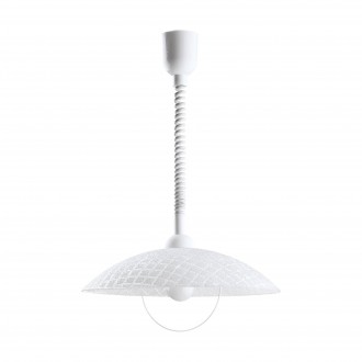 EGLO 96474 | Alvez Eglo visilice svjetiljka s podešavanjem visine 1x E27 bijelo, prozirna