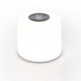 LUTEC 9704401361 | Lutec kontrolna jedinica LUTEC-Connect Access Box smart rasvjeta s prekidačem zvučno upravljanje, spajanje na Wi-Fi bijelo